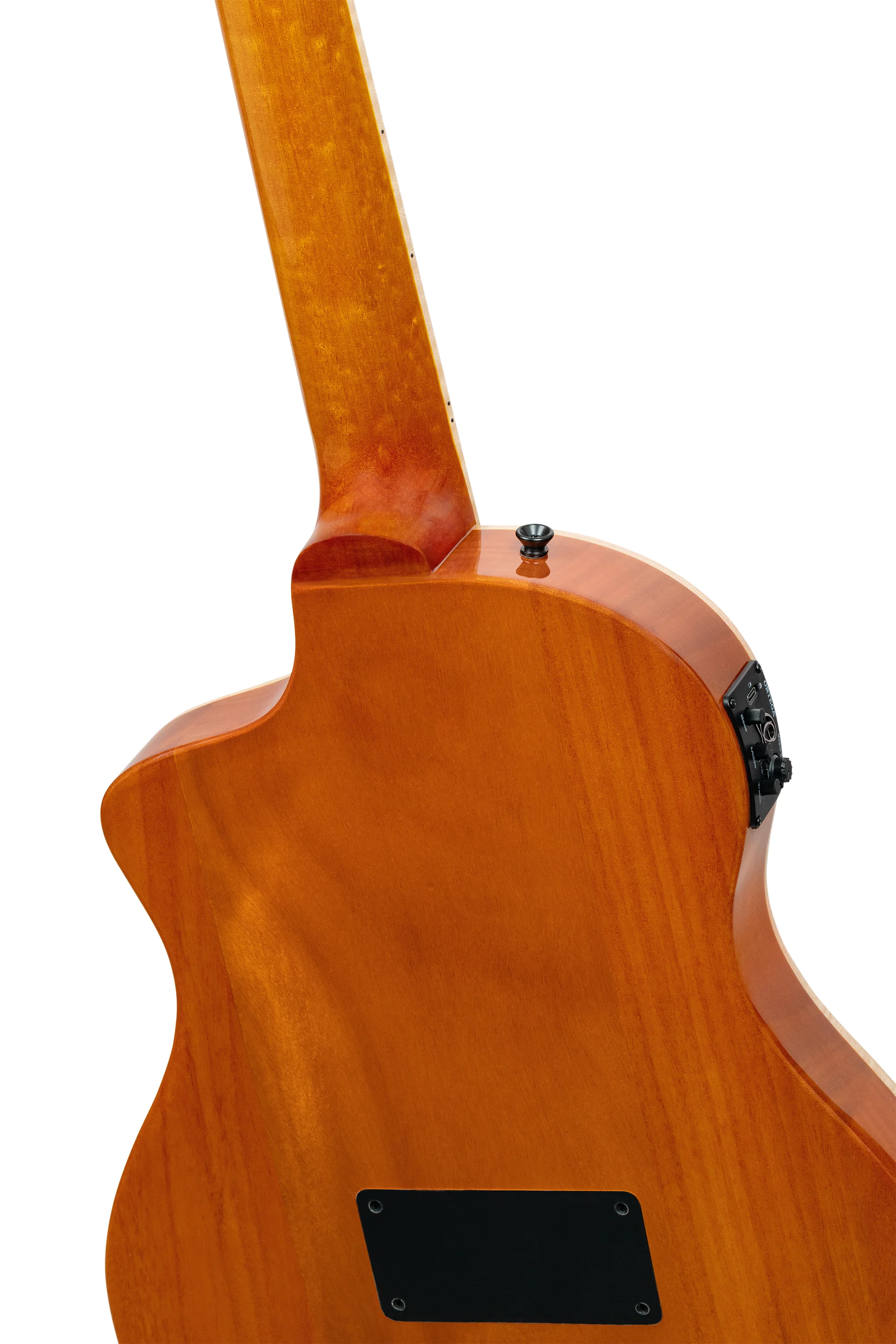 RTP-LTD TourPlayer - Limited Edition Nylon Guitar